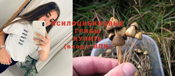 apvp Абинск