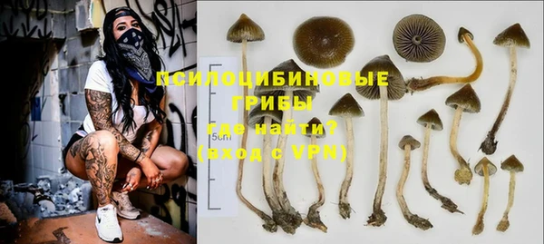 apvp Абинск